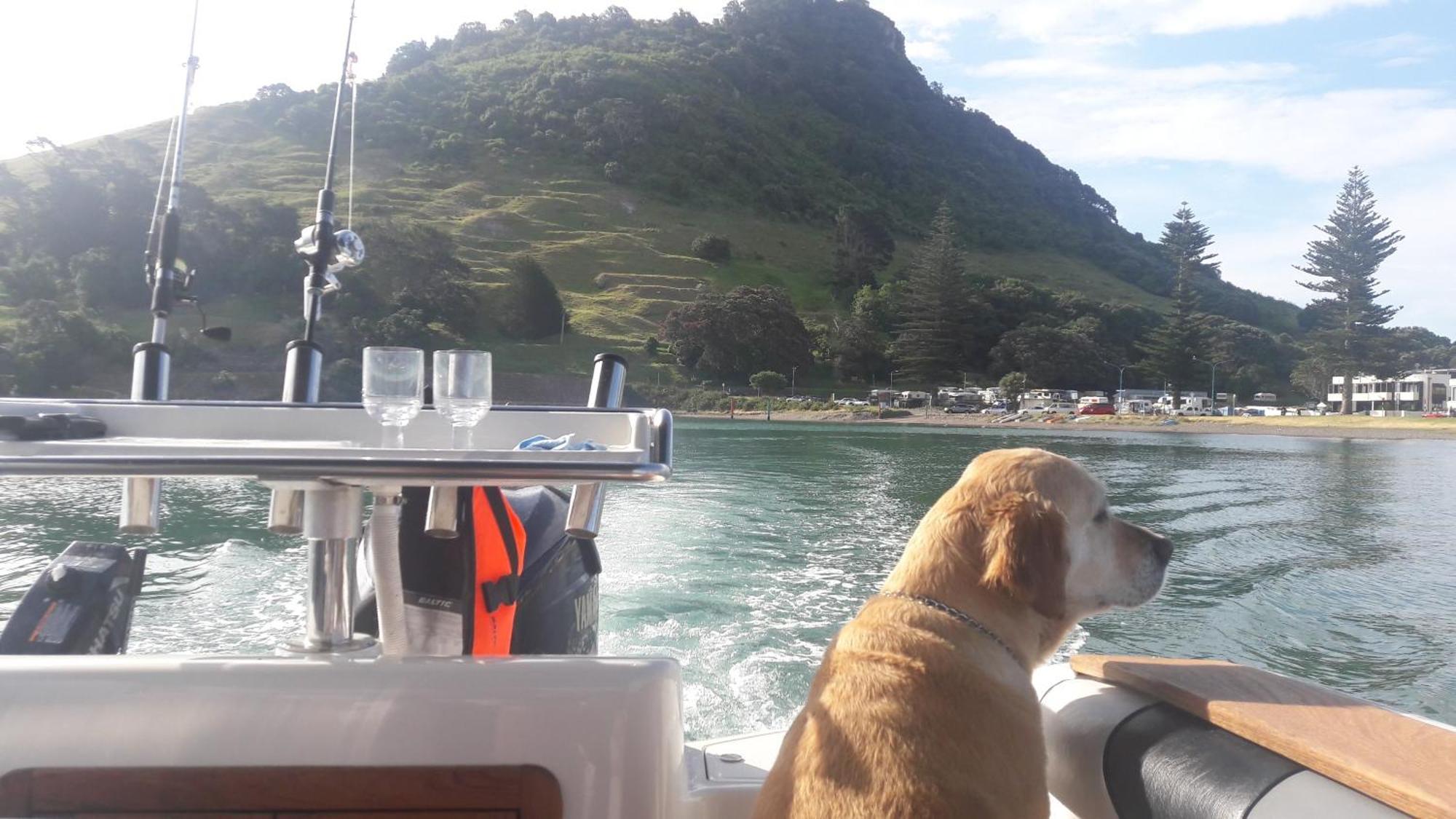 Apartmán Charm On Commons, Mauao Mount Maunganui Exteriér fotografie